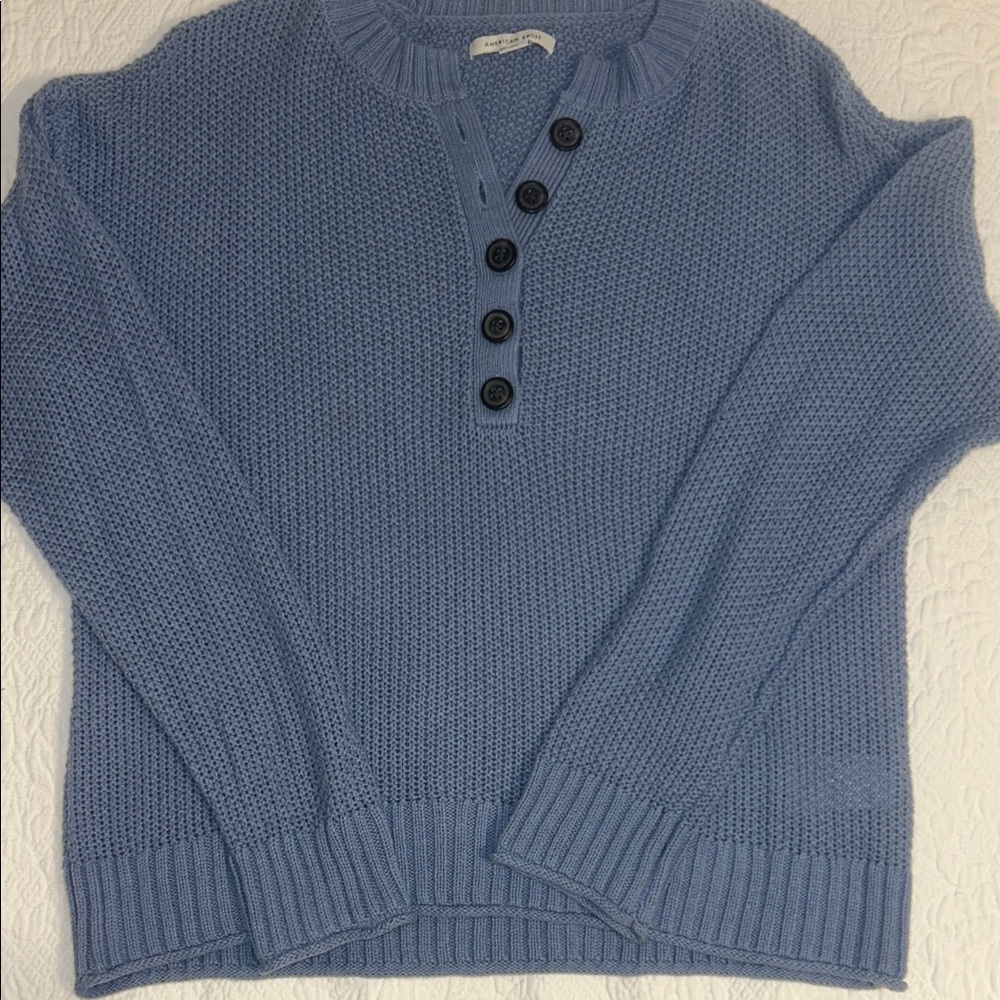 American Eagle Outfitters Light Blue Button Sweater